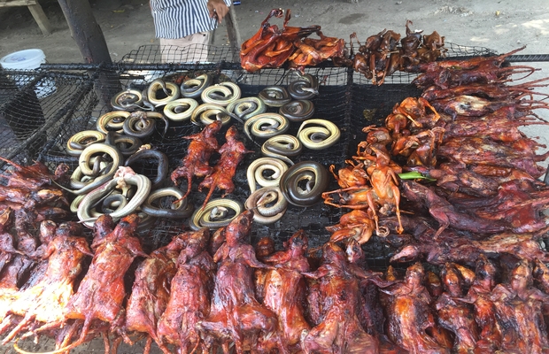 Grilled Rad and Snake on the way to Battambang